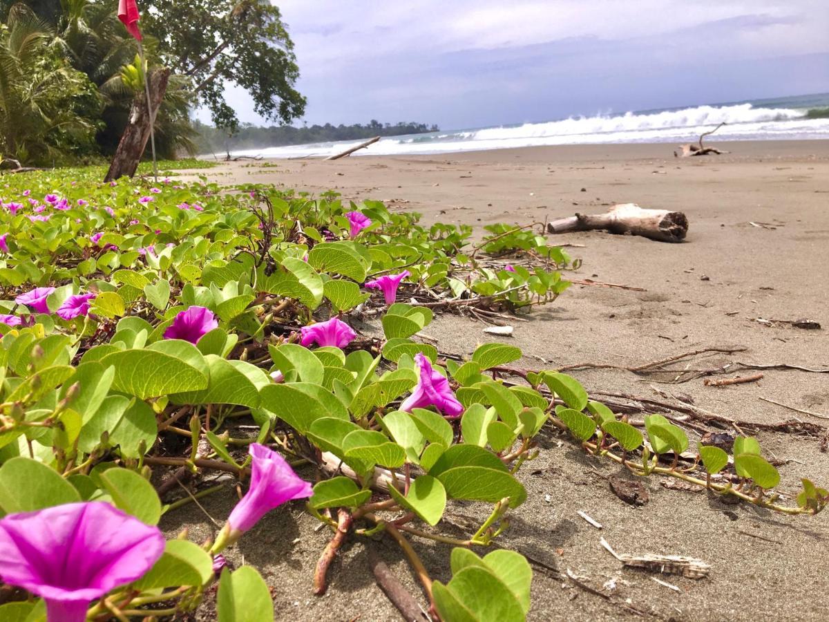 Coral Hill Bungalows Cahuita Eksteriør bilde