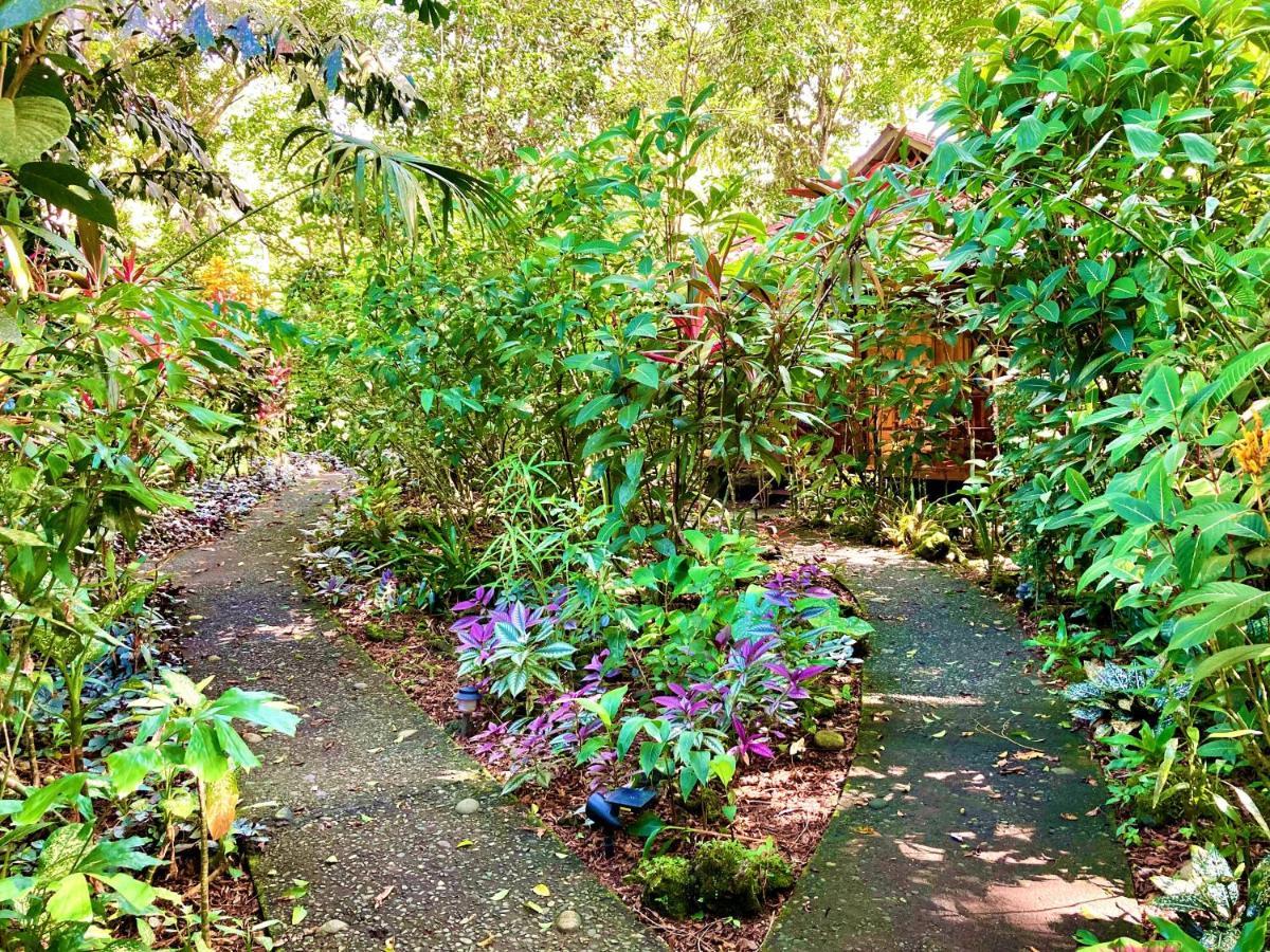 Coral Hill Bungalows Cahuita Eksteriør bilde