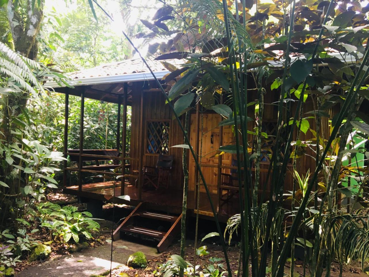 Coral Hill Bungalows Cahuita Eksteriør bilde